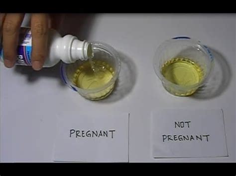 thick bleach pregnancy test positive|accurate homemade pregnancy test.